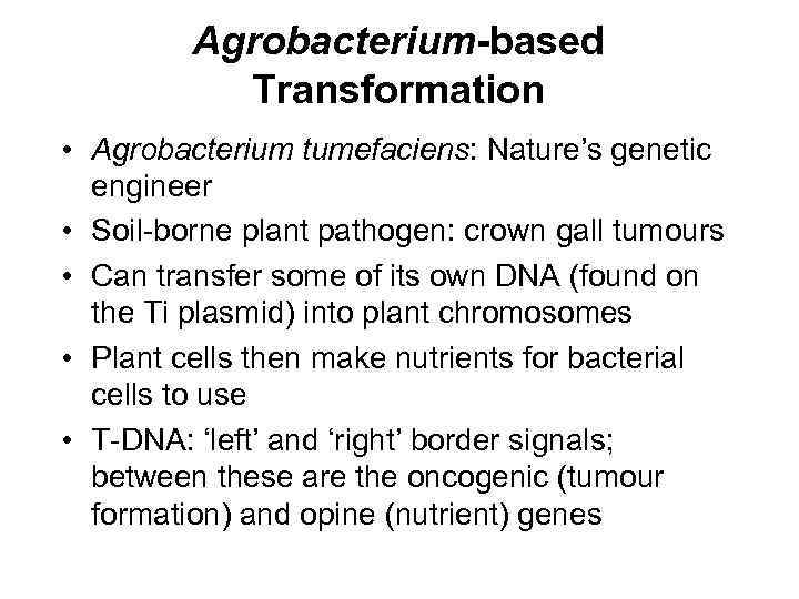 Agrobacterium-based Transformation • Agrobacterium tumefaciens: Nature’s genetic engineer • Soil-borne plant pathogen: crown gall
