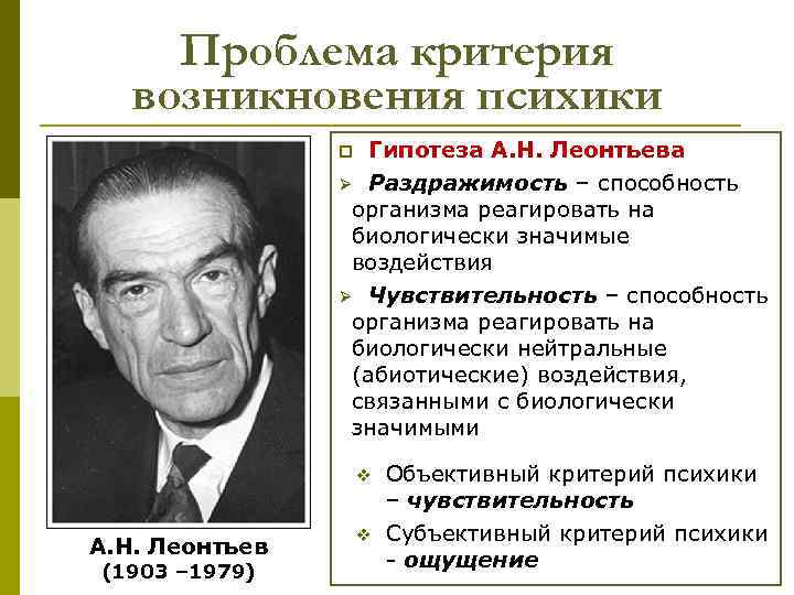 Проблема критерия возникновения психики Гипотеза А. Н. Леонтьева Ø Раздражимость – способность организма реагировать