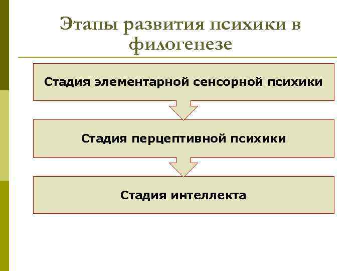 Этапы развития психики в филогенезе Стадия элементарной сенсорной психики Стадия перцептивной психики Стадия интеллекта