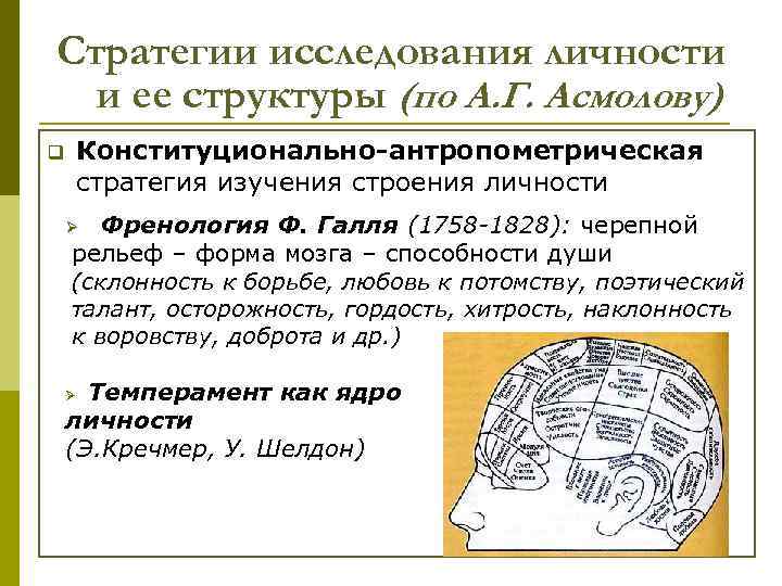 Стратегии исследования личности и ее структуры (по А. Г. Асмолову) Конституционально-антропометрическая стратегия изучения строения
