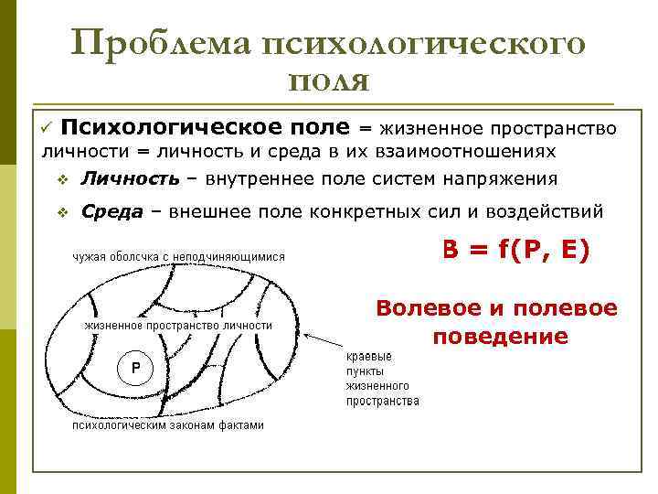 Проблема психологического поля ü Психологическое поле = жизненное пространство личности = личность и среда