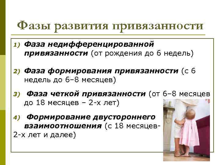 Фазы развития привязанности 1) Фаза недифференцированной привязанности (от рождения до 6 недель) 2) Фаза
