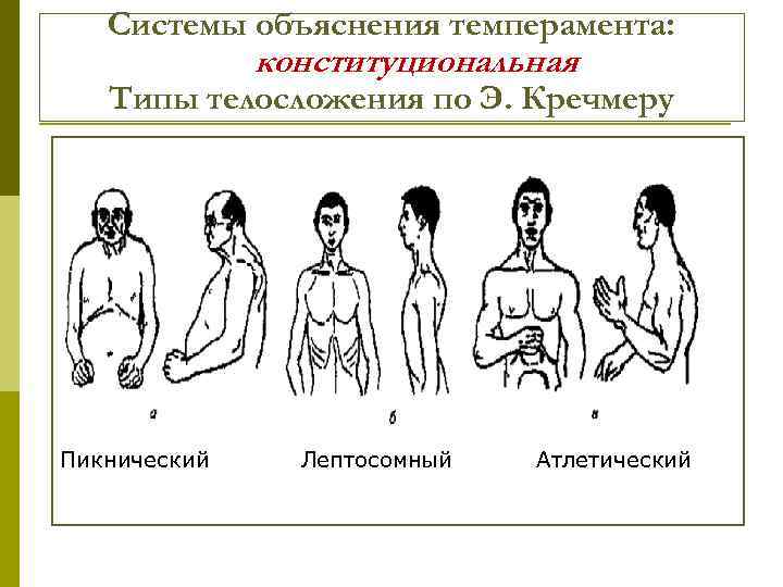 Системы объяснения темперамента: конституциональная Типы телосложения по Э. Кречмеру Пикнический Лептосомный Атлетический 