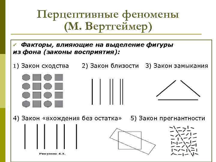 Перцептивные феномены (М. Вертгеймер) Факторы, влияющие на выделение фигуры из фона (законы восприятия): ü