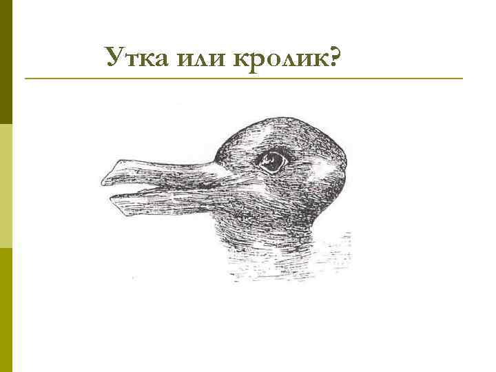 Утка или кролик? 