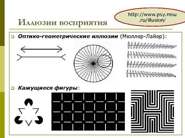 Иллюзии восприятия http: //www. psy. msu. ru/illusion/ q Оптико-геометрические иллюзии (Мюллер-Лайер): q Кажущиеся фигуры: