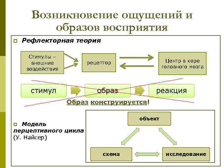 Возникновение ощущений и образов восприятия p Рефлекторная теория Стимулы – внешние воздействия Центр в