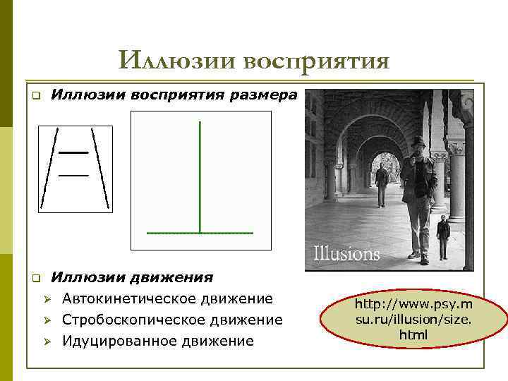 Иллюзии восприятия q q Иллюзии восприятия размера Иллюзии движения Ø Автокинетическое движение Ø Стробоскопическое