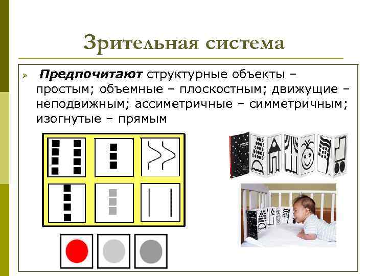 Зрительная система Ø Предпочитают структурные объекты – простым; объемные – плоскостным; движущие – неподвижным;