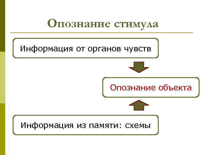 Опознание стимула Информация от органов чувств Опознание объекта Информация из памяти: схемы 