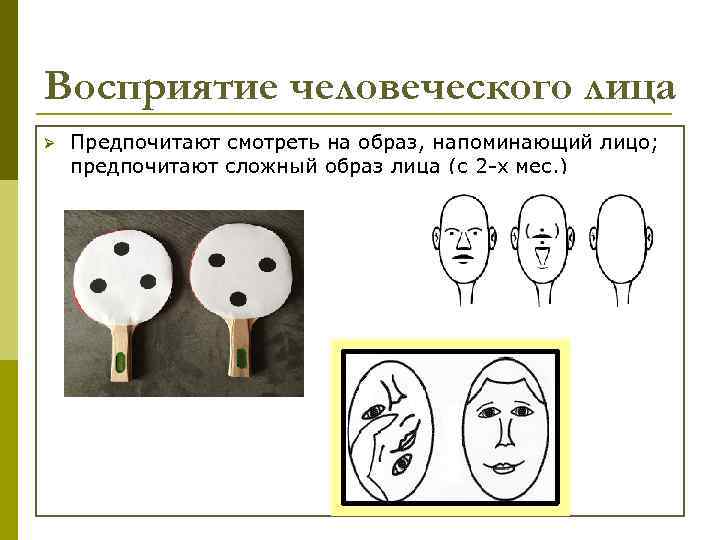 Восприятие человеческого лица Ø Предпочитают смотреть на образ, напоминающий лицо; предпочитают сложный образ лица