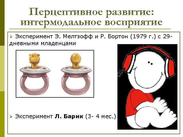 Перцептивное развитие: интермодальное восприятие Эксперимент Э. Мелтзофф и Р. Бортон (1979 г. ) с