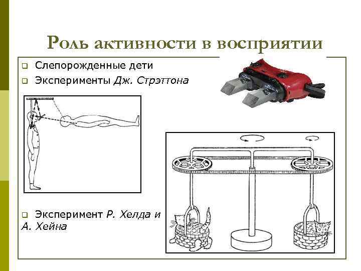 Роль активности в восприятии q q Слепорожденные дети Эксперименты Дж. Стрэттона Эксперимент Р. Хелда
