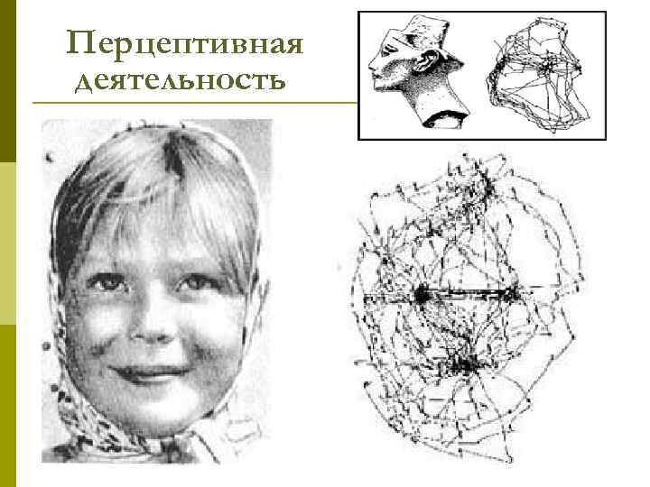 Перцептивная деятельность 