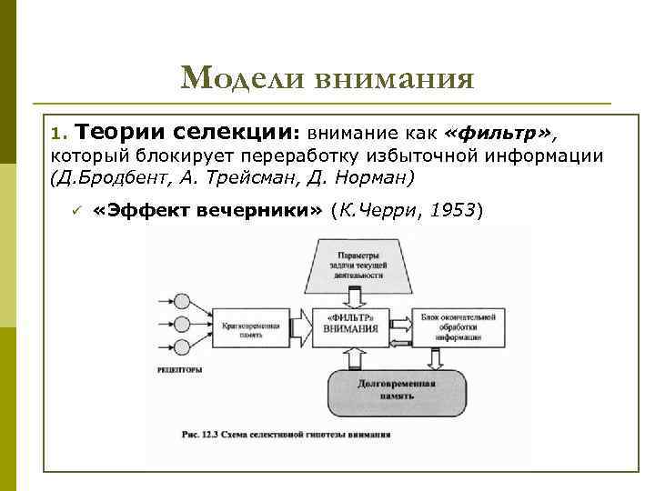 Модели внимания 1. Теории селекции: внимание как «фильтр» , который блокирует переработку избыточной информации