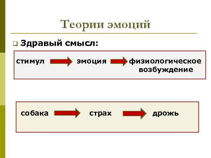 Теории эмоций q Здравый смысл: стимул собака эмоция страх физиологическое возбуждение дрожь 