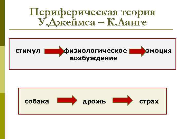 Периферическая теория У. Джеймса – К. Ланге стимул собака физиологическое возбуждение дрожь эмоция страх