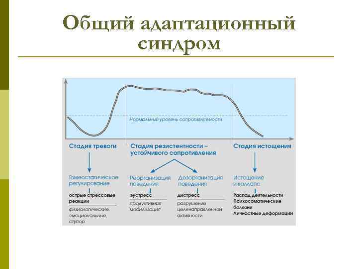 Общий адаптационный синдром 