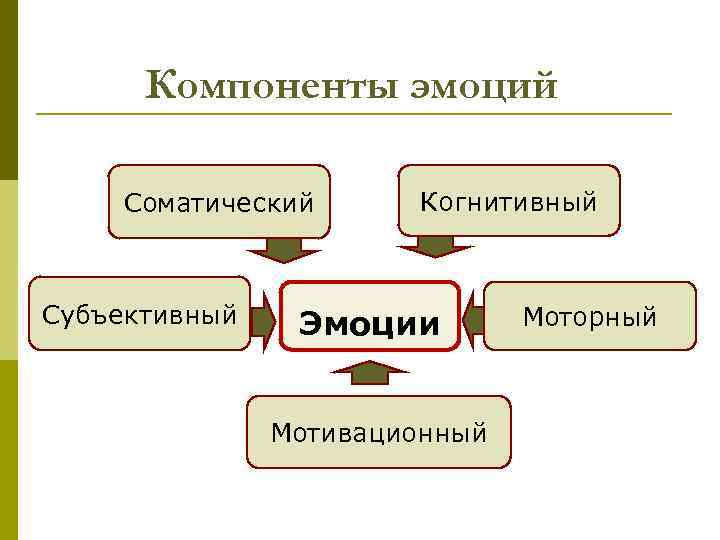 Компоненты эмоций Соматический Субъективный Когнитивный Эмоции Мотивационный Моторный 