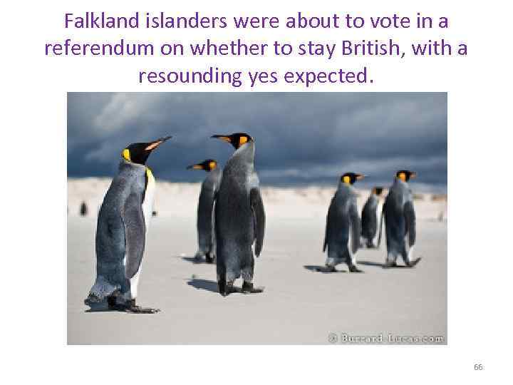 Falkland islanders were about to vote in a referendum on whether to stay British,