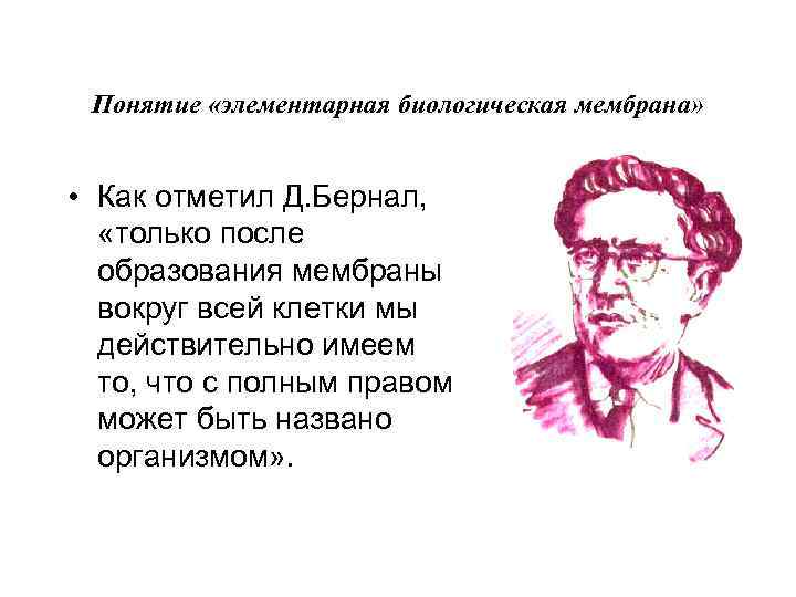 Понятие «элементарная биологическая мембрана» • Как отметил Д. Бернал, «только после образования мембраны вокруг