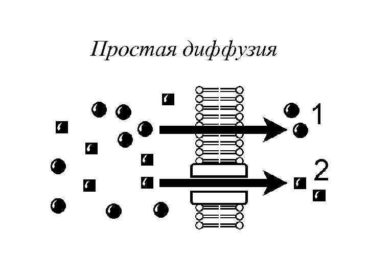 Простая диффузия 