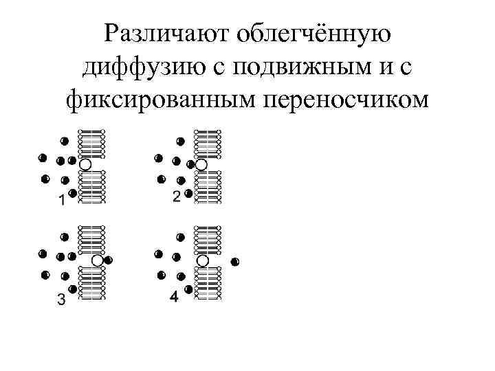 Различают облегчённую диффузию с подвижным и с фиксированным переносчиком 