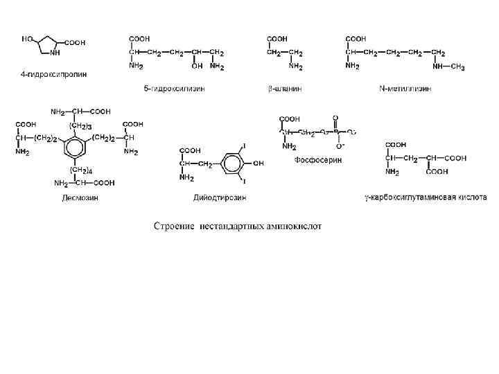 Применение аминокислот схема