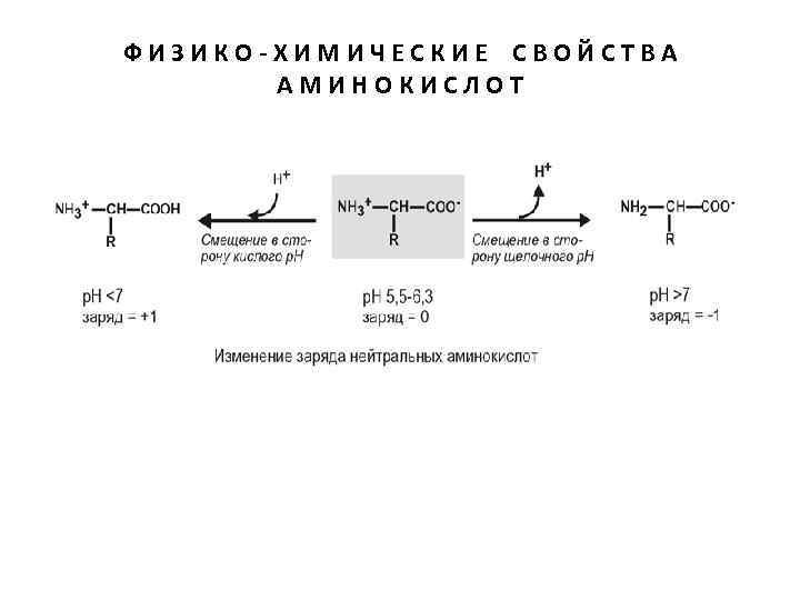 ФИЗИКО-ХИМИЧЕСКИЕ СВОЙСТВА АМИНОКИСЛОТ 