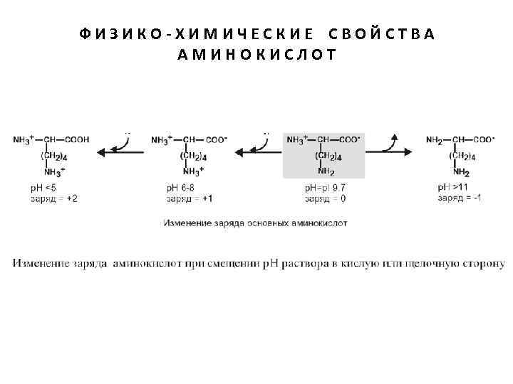 ФИЗИКО-ХИМИЧЕСКИЕ СВОЙСТВА АМИНОКИСЛОТ 