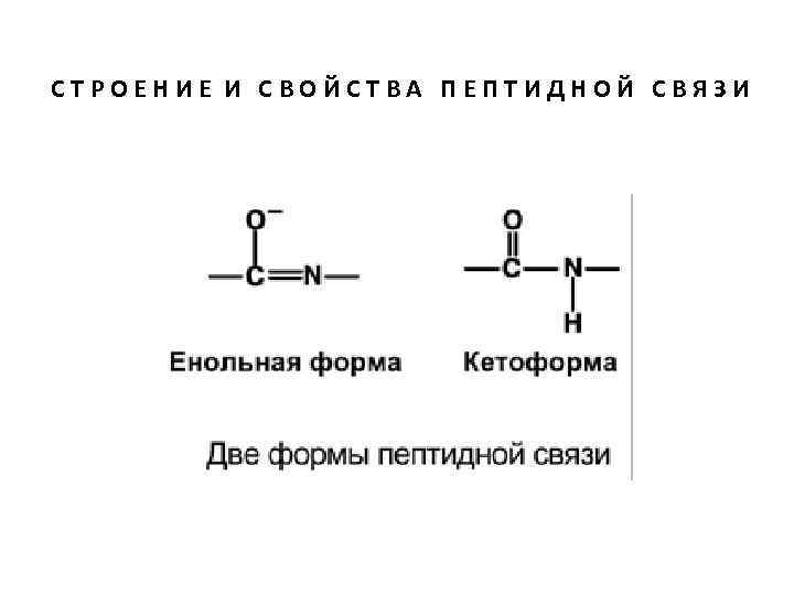 СТРОЕНИЕ И СВОЙСТВА ПЕПТИДНОЙ СВЯЗИ 