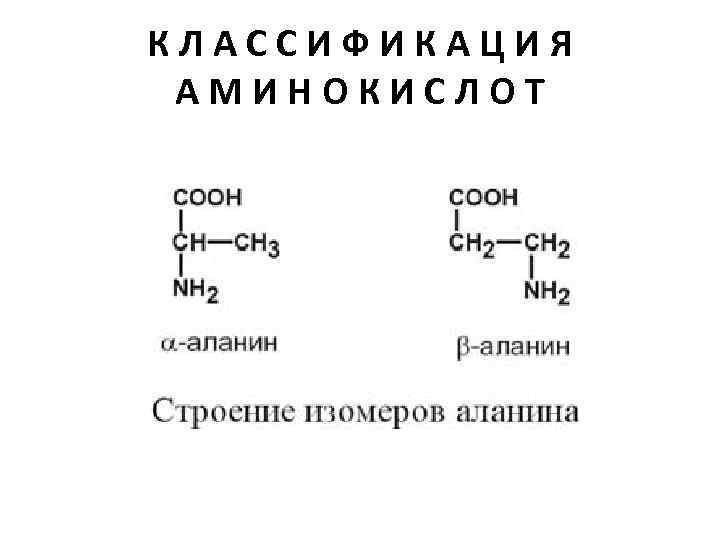 КЛАССИФИКАЦИЯ АМИНОКИСЛОТ 