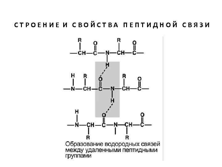 Схема образования водородной связи