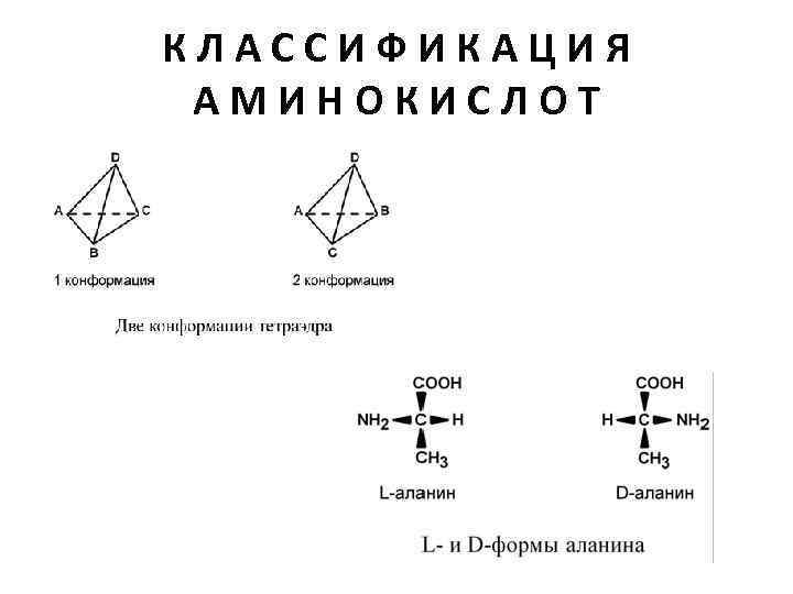 КЛАССИФИКАЦИЯ АМИНОКИСЛОТ 