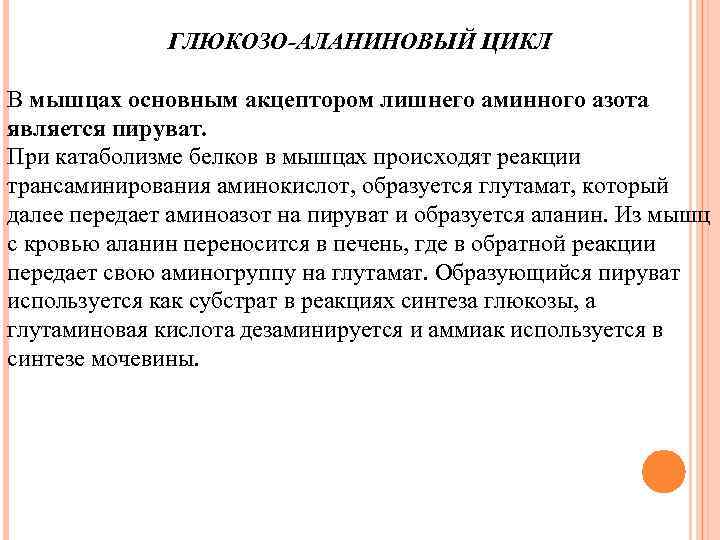 ГЛЮКОЗО-АЛАНИНОВЫЙ ЦИКЛ В мышцах основным акцептором лишнего аминного азота является пируват. При катаболизме белков