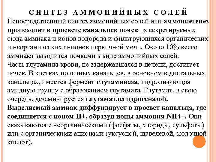 СИНТЕЗ АММОНИЙНЫХ СОЛЕЙ Непосредственный синтез аммонийных солей или аммониегенез происходит в просвете канальцев почек