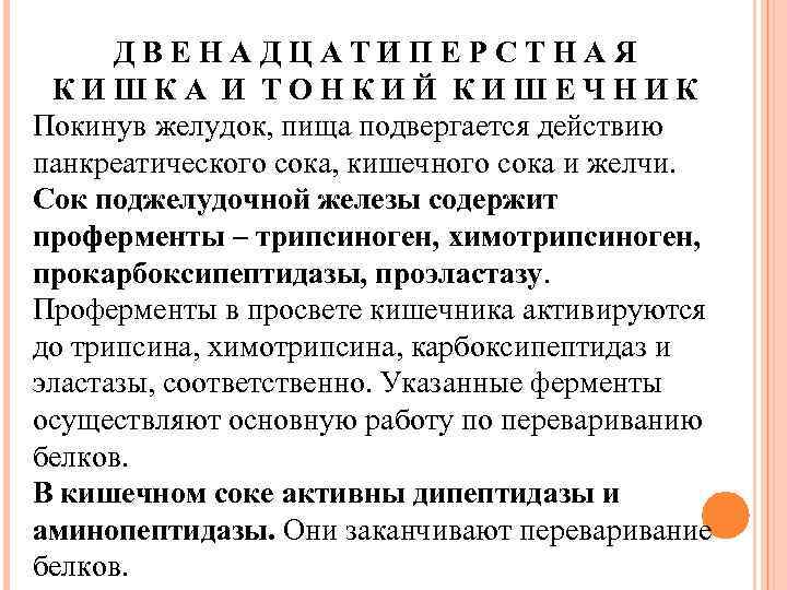 ДВЕНАДЦАТИПЕРСТНАЯ КИШКА И ТОНКИЙ КИШЕЧНИК Покинув желудок, пища подвергается действию панкреатического сока, кишечного сока