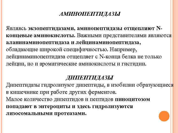 АМИНОПЕПТИДАЗЫ Являясь экзопептидазами, аминопептидазы отщепляют Nконцевые аминокислоты. Важными представителями являются аланинаминопептидаза и лейцинаминопептидаза, обладающие