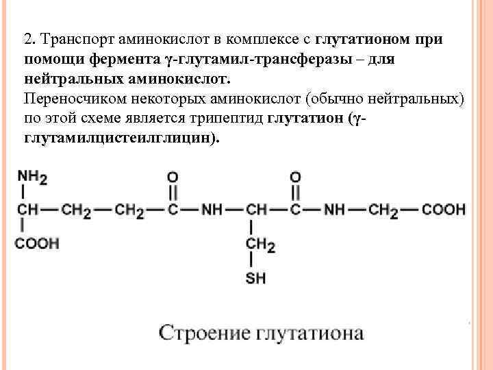 2. Транспорт аминокислот в комплексе с глутатионом при помощи фермента γ-глутамил-трансферазы – для нейтральных