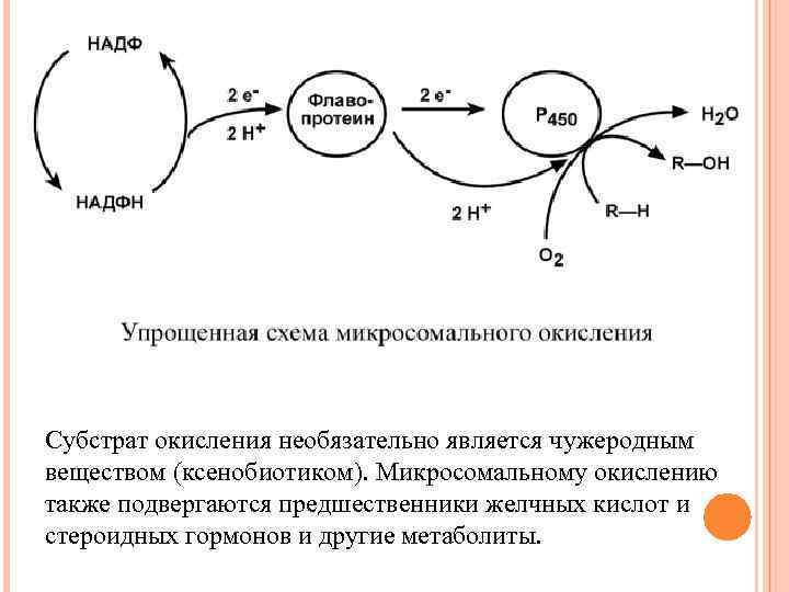 Субстрат окисления необязательно является чужеродным веществом (ксенобиотиком). Микросомальному окислению также подвергаются предшественники желчных кислот