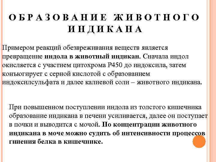 ОБРАЗОВАНИЕ ЖИВОТНОГО ИНДИКАНА Примером реакций обезвреживания веществ является превращение индола в животный индикан. Сначала