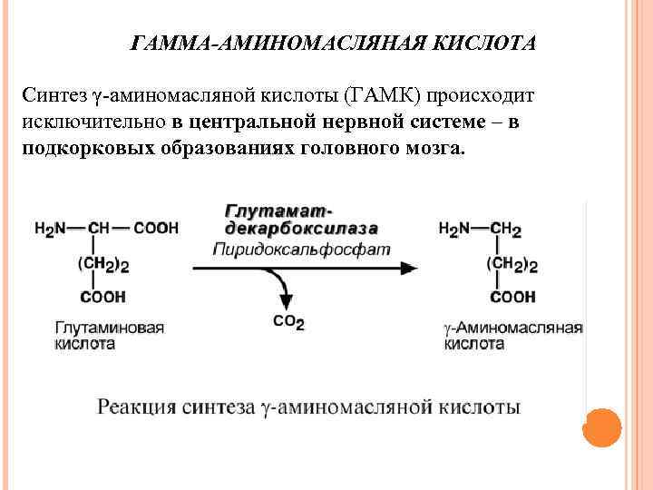 ГАММА-АМИНОМАСЛЯНАЯ КИСЛОТА Синтез γ-аминомасляной кислоты (ГАМК) происходит исключительно в центральной нервной системе – в