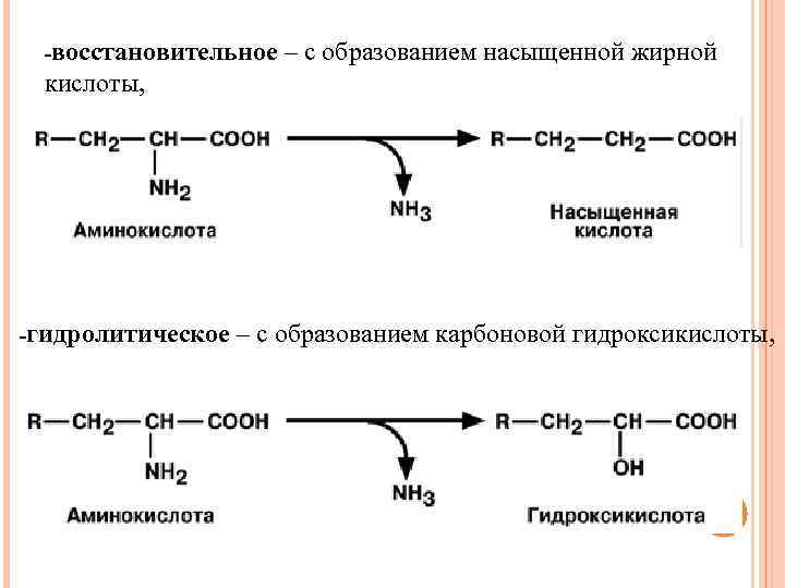 -восстановительное – с образованием насыщенной жирной кислоты, -гидролитическое – с образованием карбоновой гидроксикислоты, 