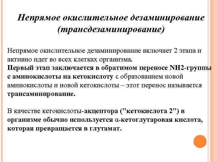 Непрямое окислительное дезаминирование (трансдезаминирование) Непрямое окислительное дезаминирование включает 2 этапа и активно идет во