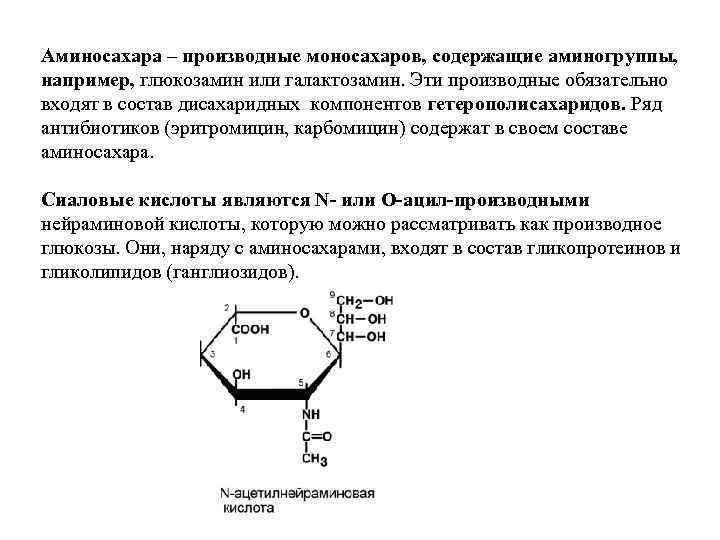 Аминосахара – производные моносахаров, содержащие аминогруппы, например, глюкозамин или галактозамин. Эти производные обязательно входят