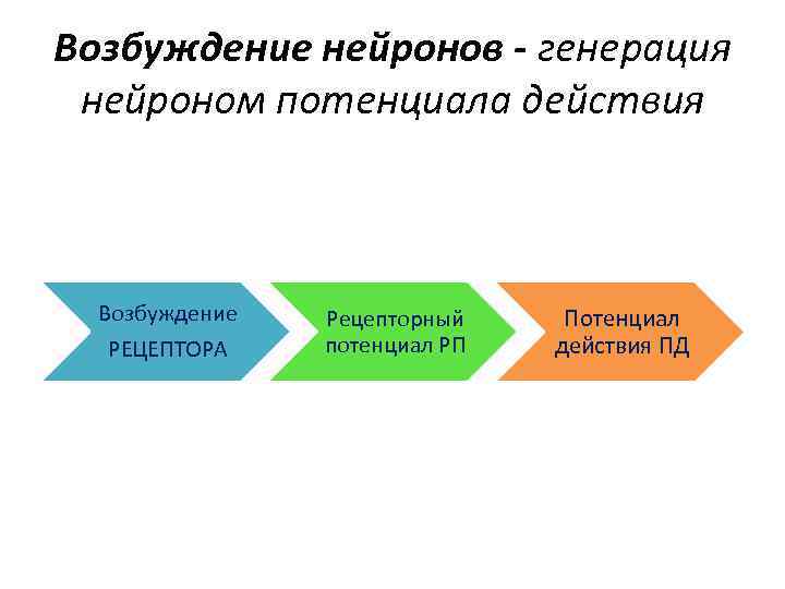 Возбуждение нейронов - генерация нейроном потенциала действия Возбуждение РЕЦЕПТОРА Рецепторный потенциал РП Потенциал действия