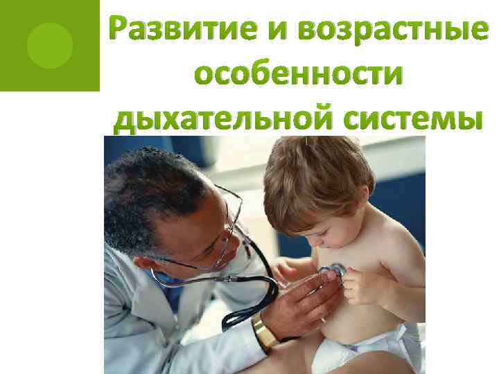 Развитие и возрастные особенности дыхательной системы 