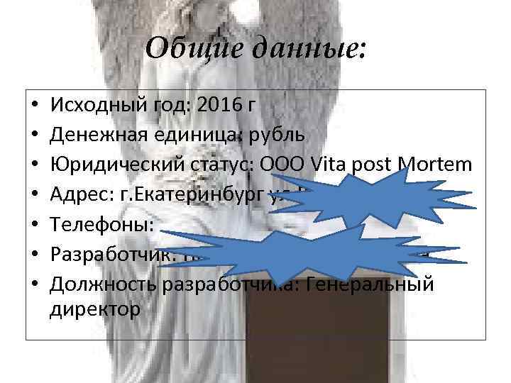 БизнесПлан похоронного агентства Vita post Mortem 2015 г