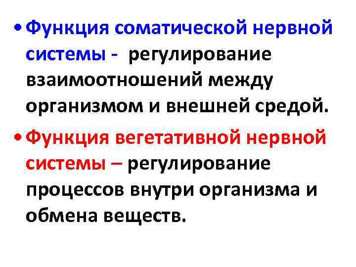  • Функция соматической нервной системы - регулирование взаимоотношений между организмом и внешней средой.