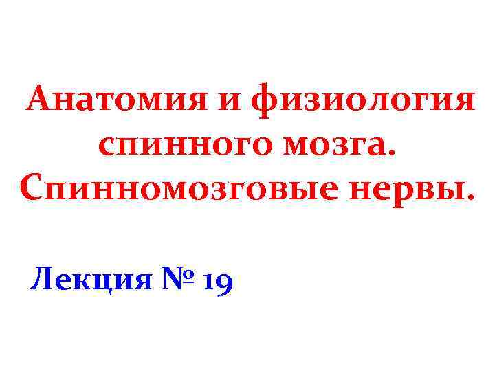 Анатомия и физиология спинного мозга. Спинномозговые нервы. Лекция № 19 